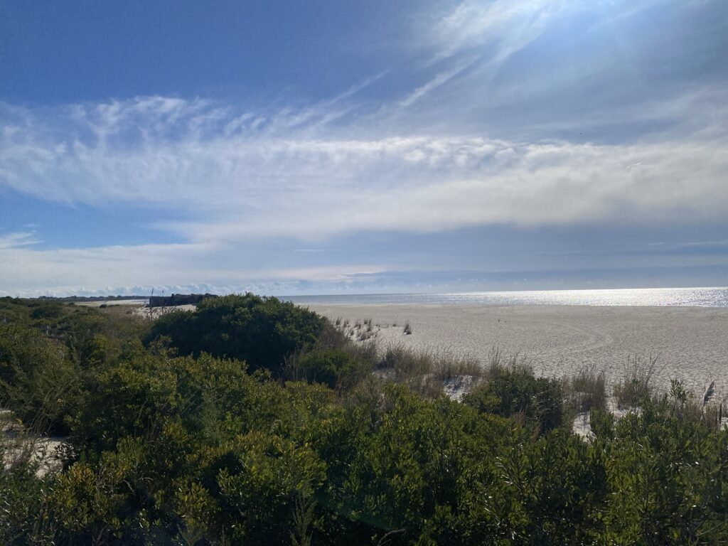 a beach with trees and bushes (MyCoast AI)
