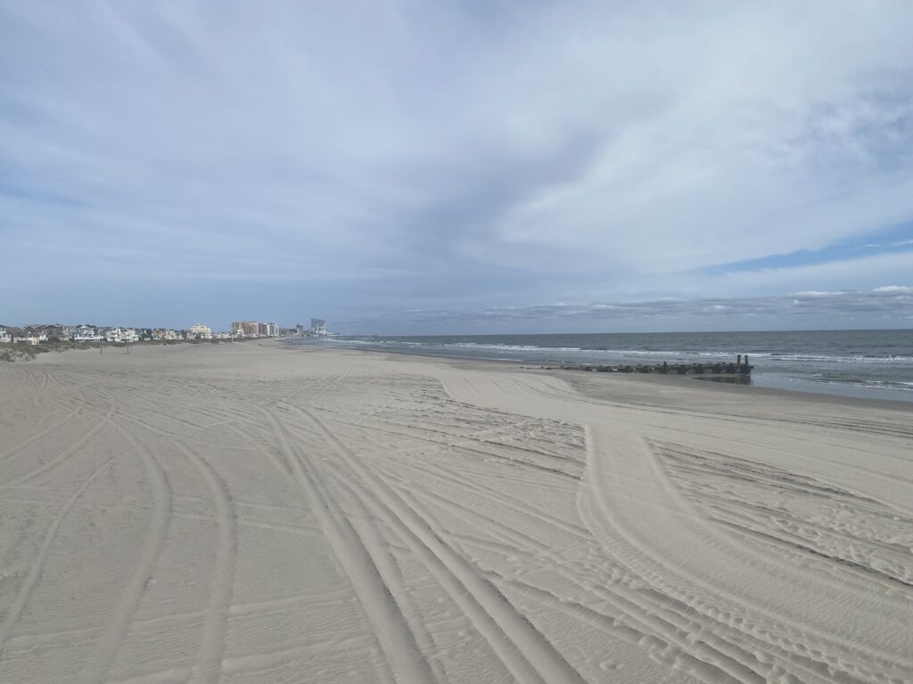 a sandy beach with a city in the distance (MyCoast AI)