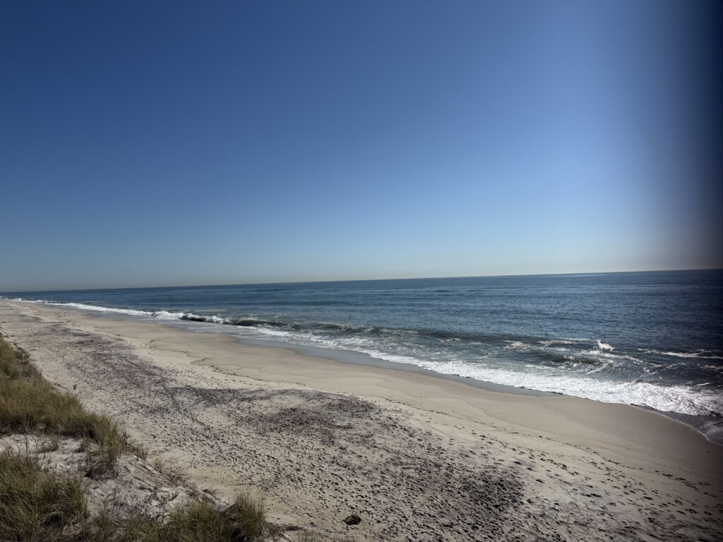 a sandy beach with waves crashing on it (MyCoast AI)
