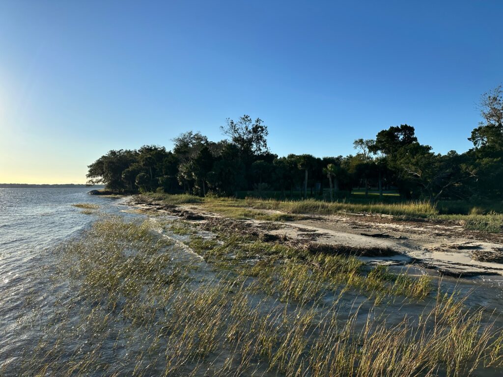 a beach with trees and grass (MyCoast AI)