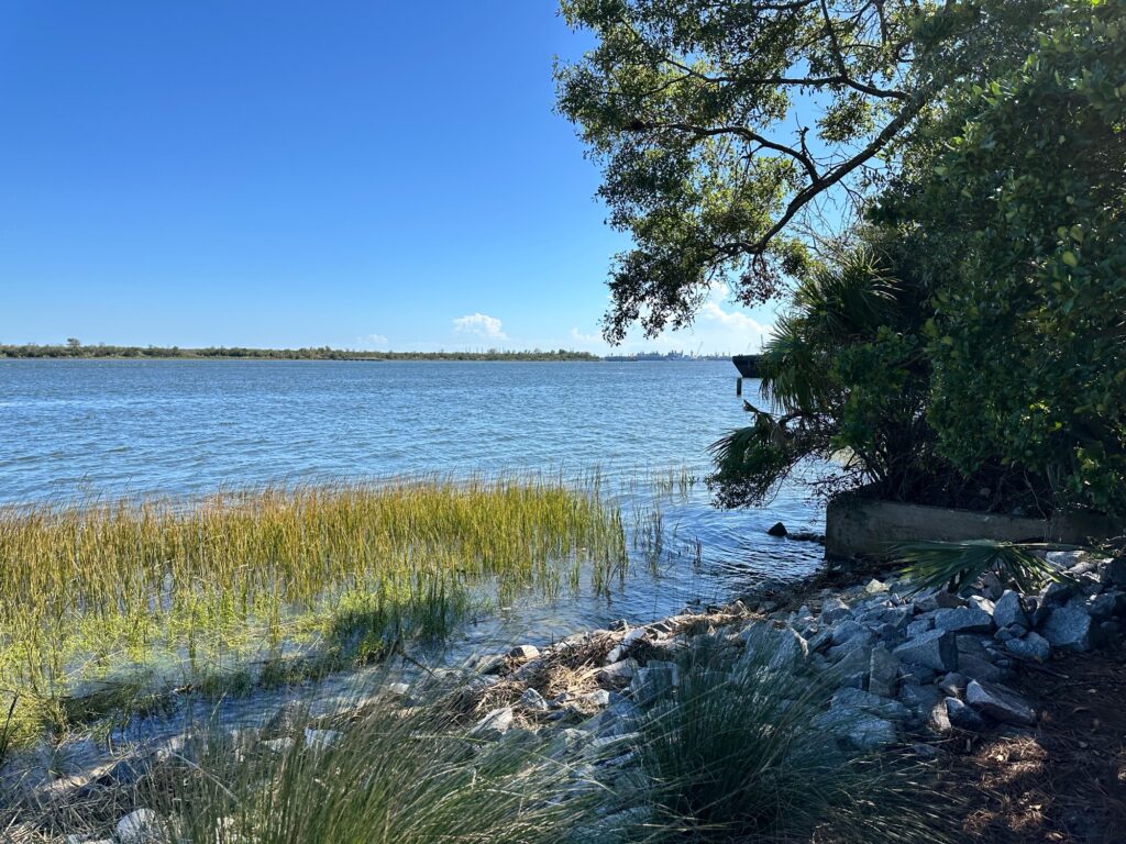 a body of water with rocks and grass on the side (MyCoast AI)