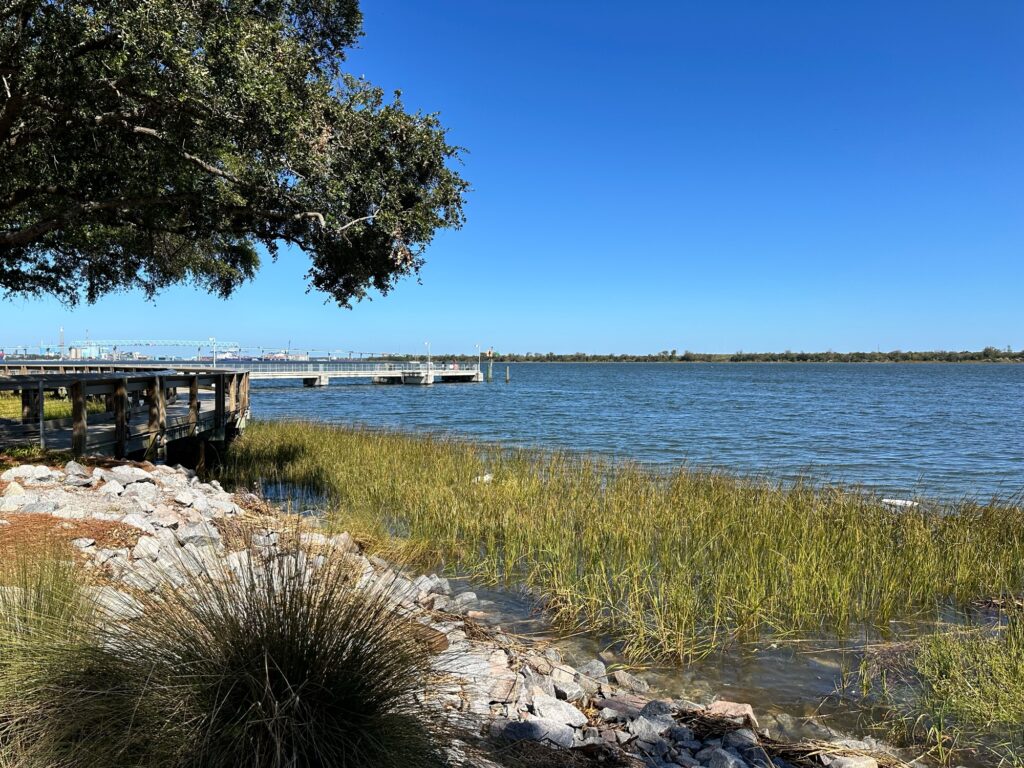 a body of water with a bridge and grass on the side (MyCoast AI)