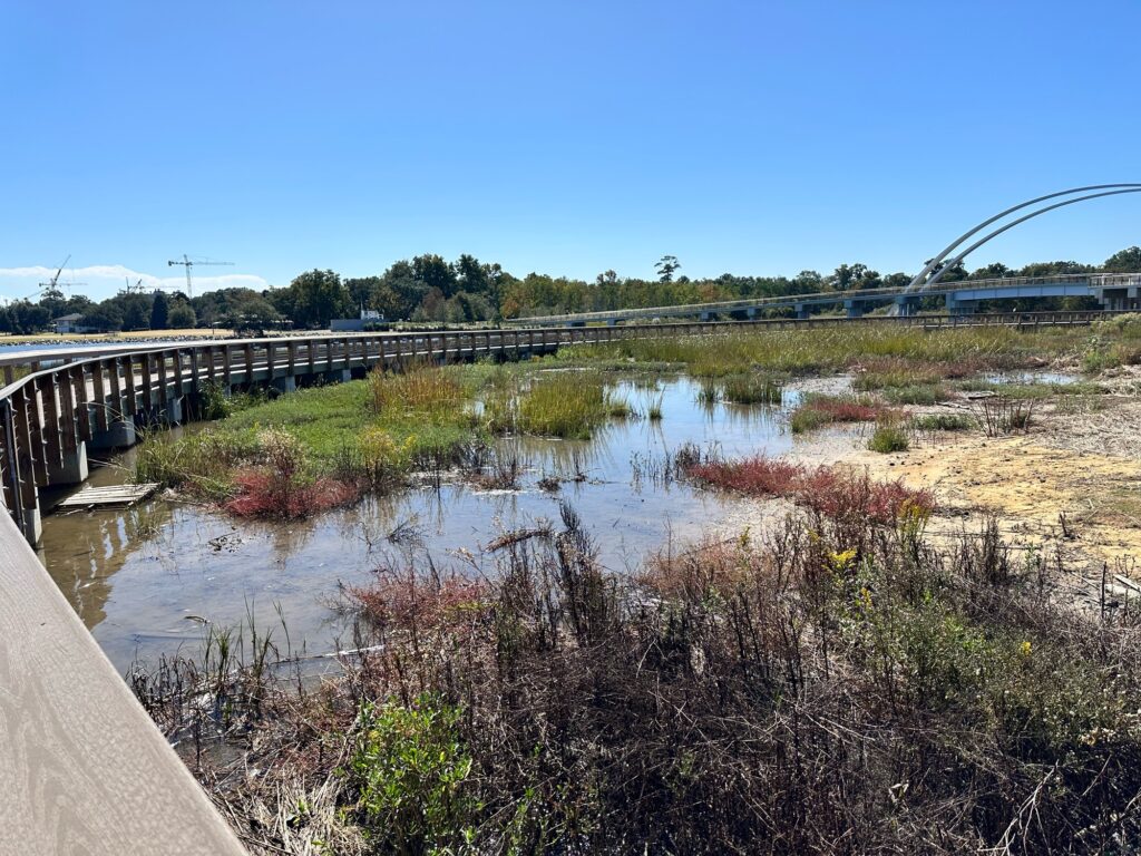 a bridge over a river (MyCoast AI)