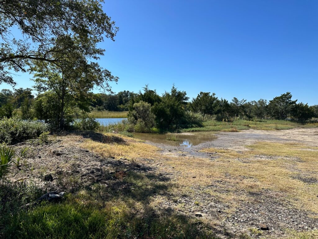 a small pond in a field (MyCoast AI)