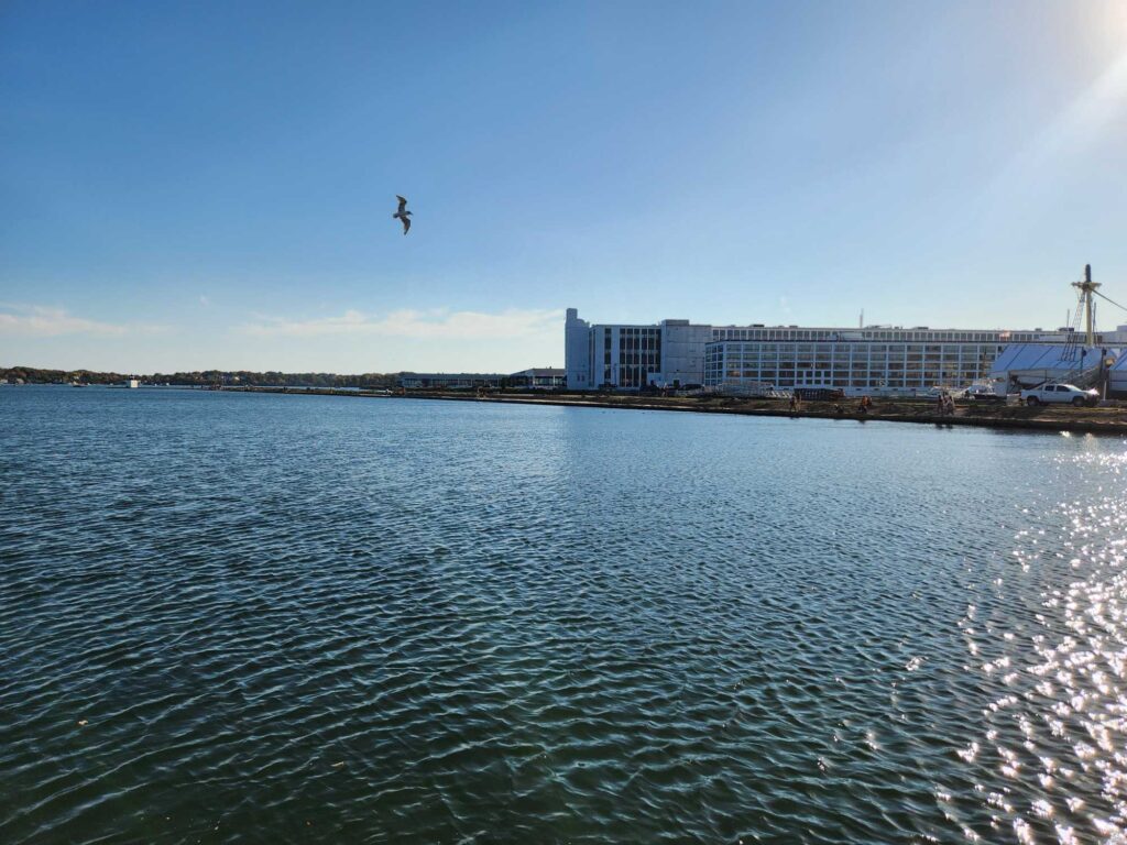 a bird flying over a body of water (MyCoast AI)