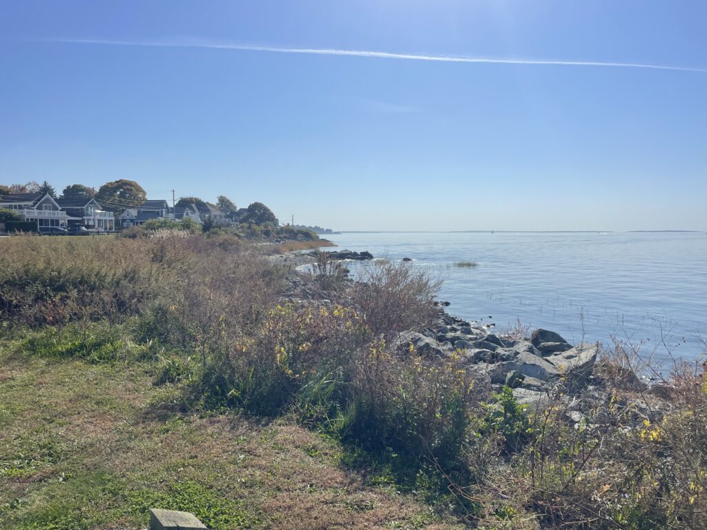 a grassy area next to a body of water (MyCoast AI)