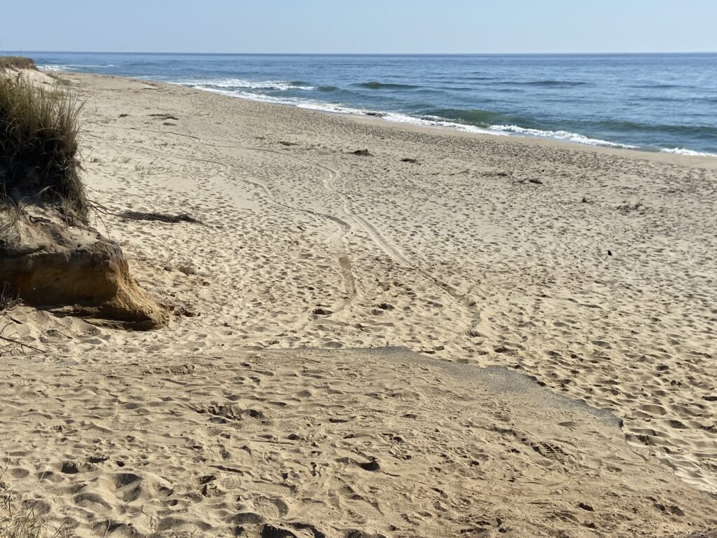a sandy beach with rocks and water (MyCoast AI)