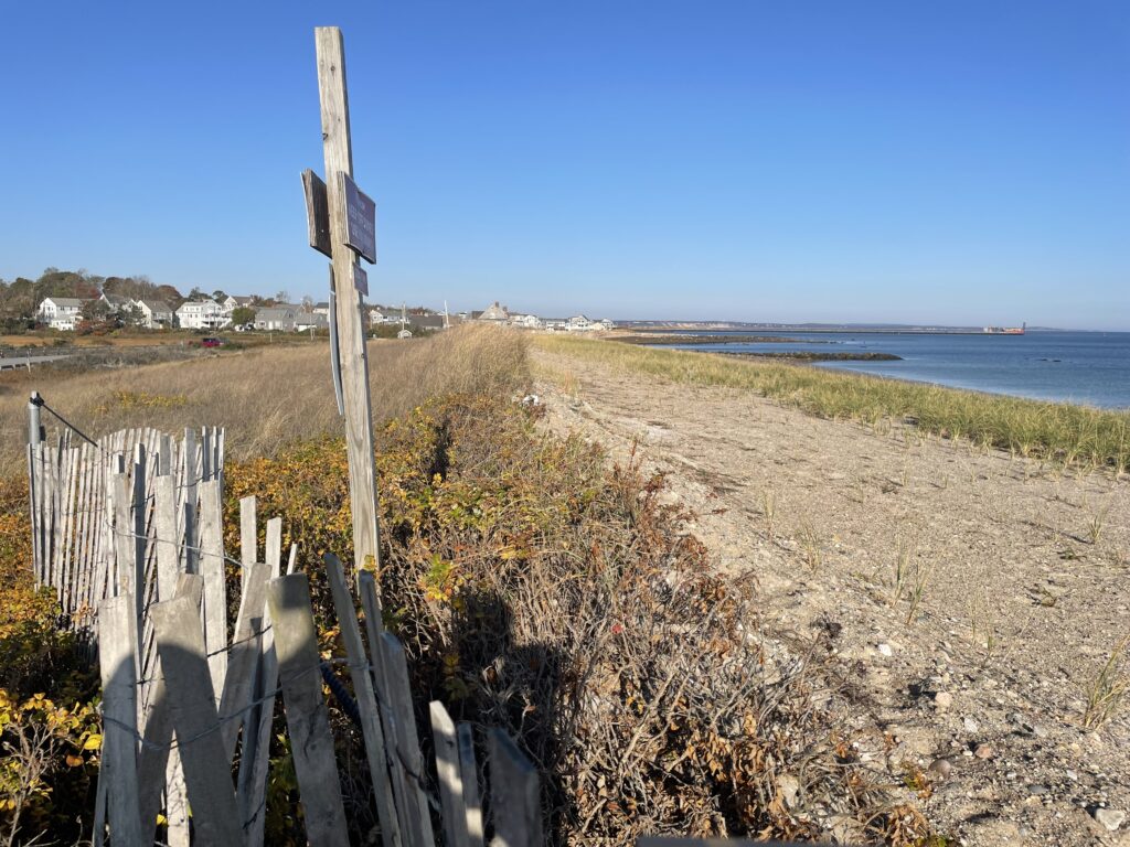 a fence on a beach (MyCoast AI)