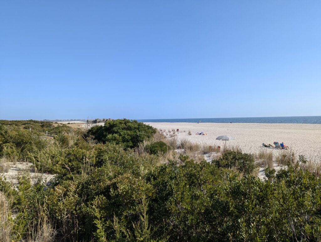 a beach with bushes and trees (MyCoast AI)
