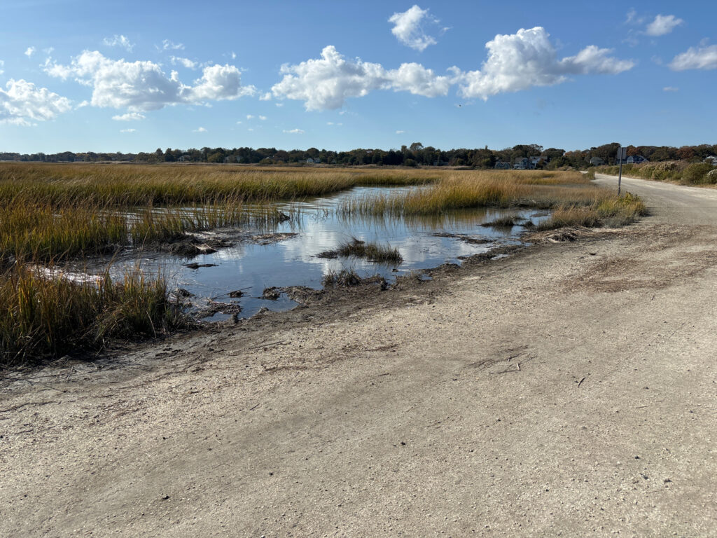a small pond in a dry landscape (MyCoast AI)
