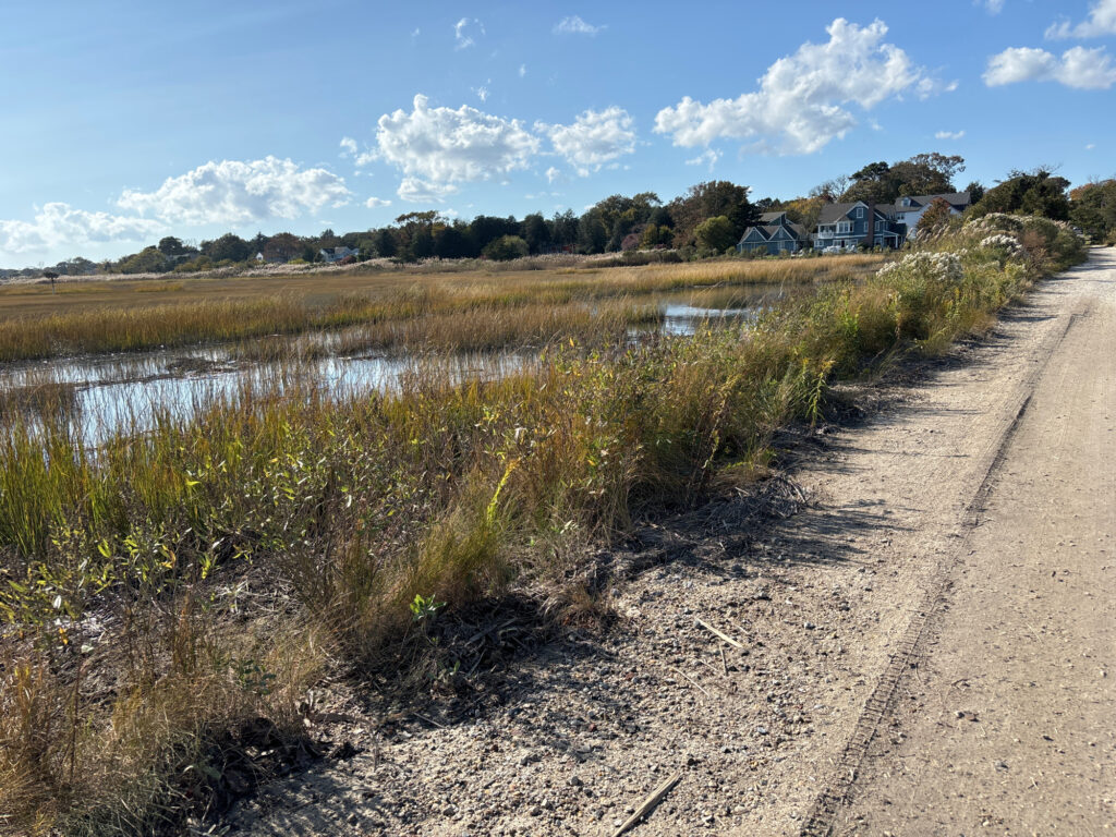 a dirt road next to a small pond (MyCoast AI)