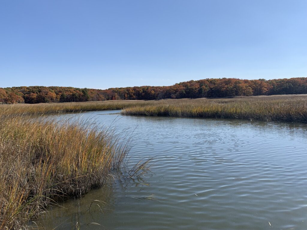 a body of water with grass and trees around it (MyCoast AI)