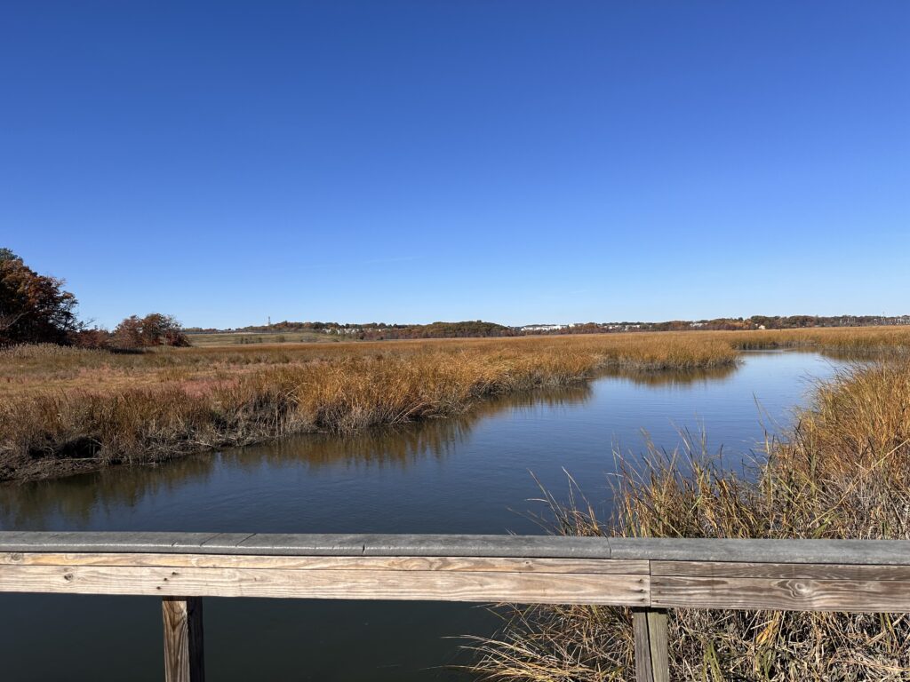 a body of water with grass and trees around it (MyCoast AI)