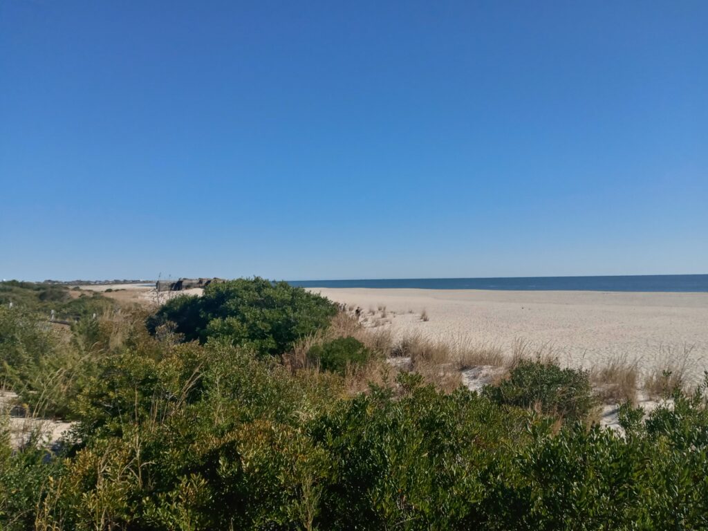 a sandy beach with bushes and trees (MyCoast AI)
