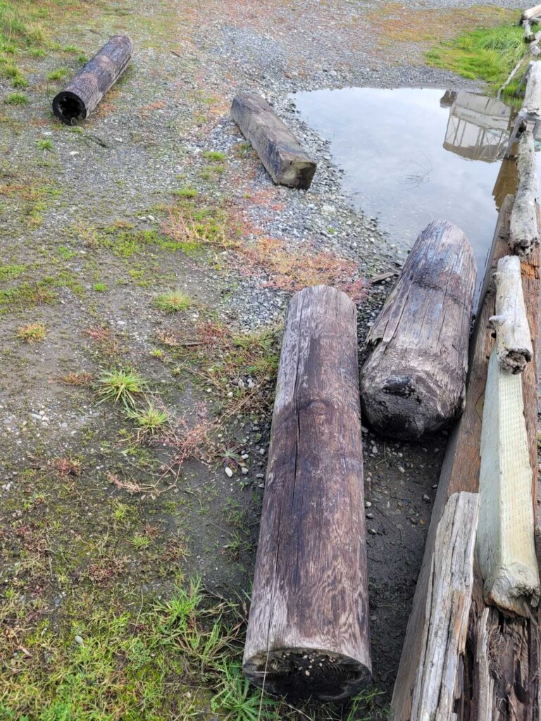 a small pond with logs (MyCoast AI)