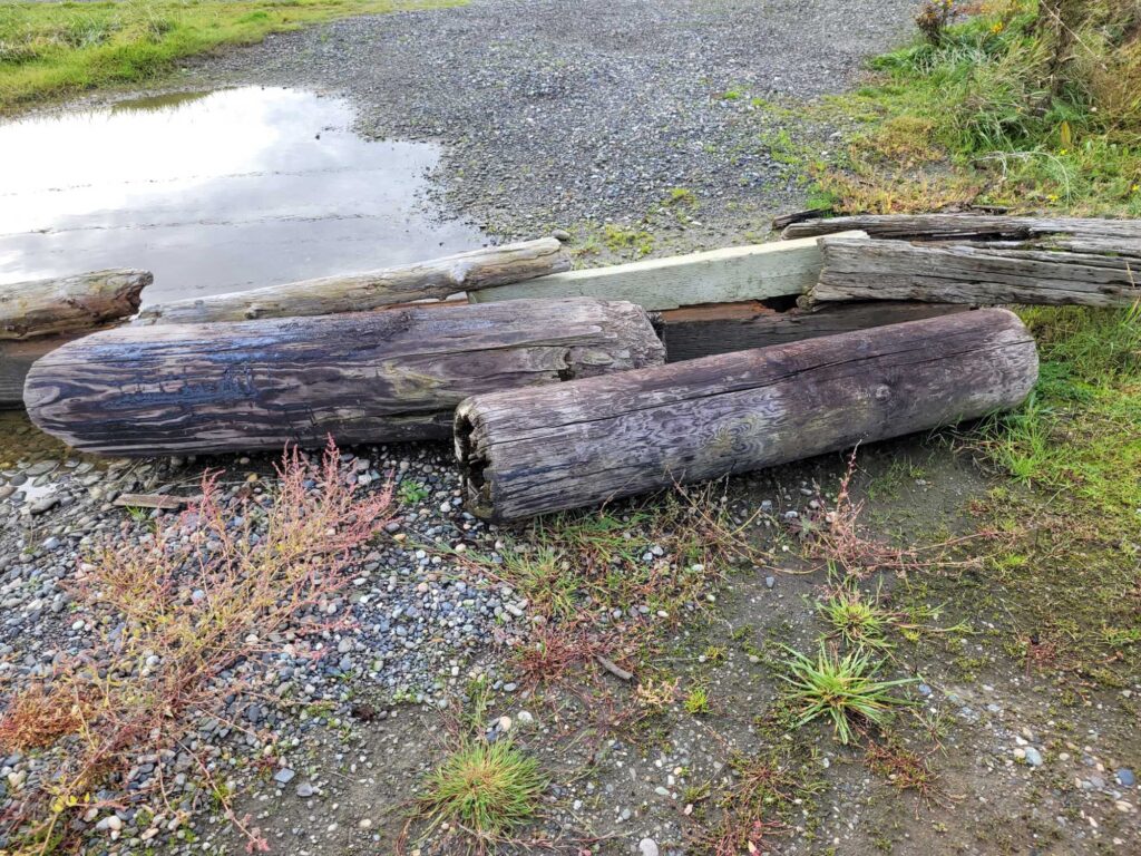a wooden bench sits in the middle of a stream (MyCoast AI)