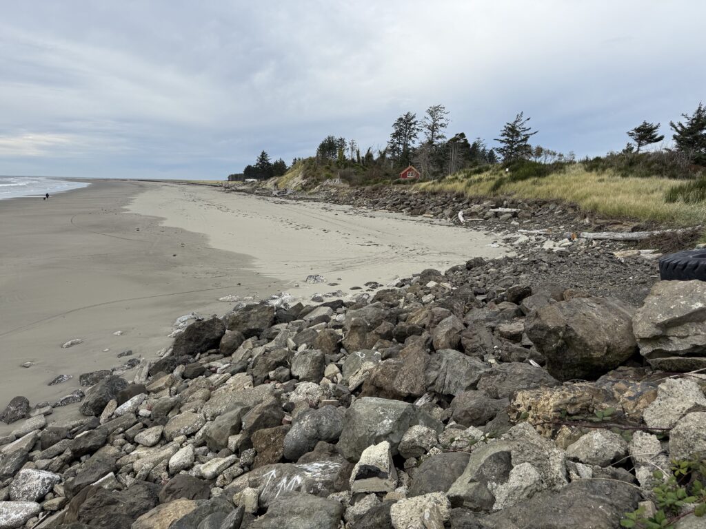a rocky beach with trees and a hill in the background (MyCoast AI)