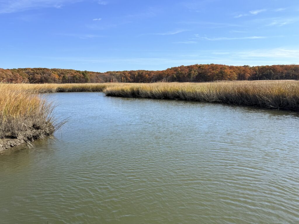 a body of water with grass and trees around it (MyCoast AI)