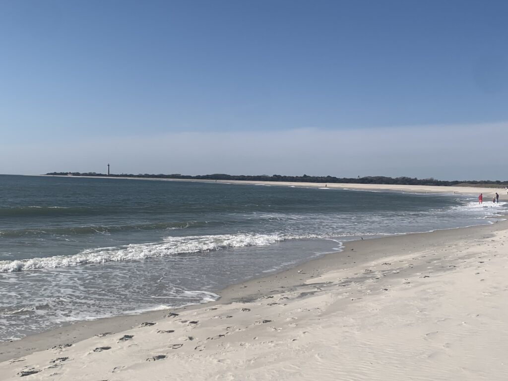 a beach with waves and a body of water (MyCoast AI)