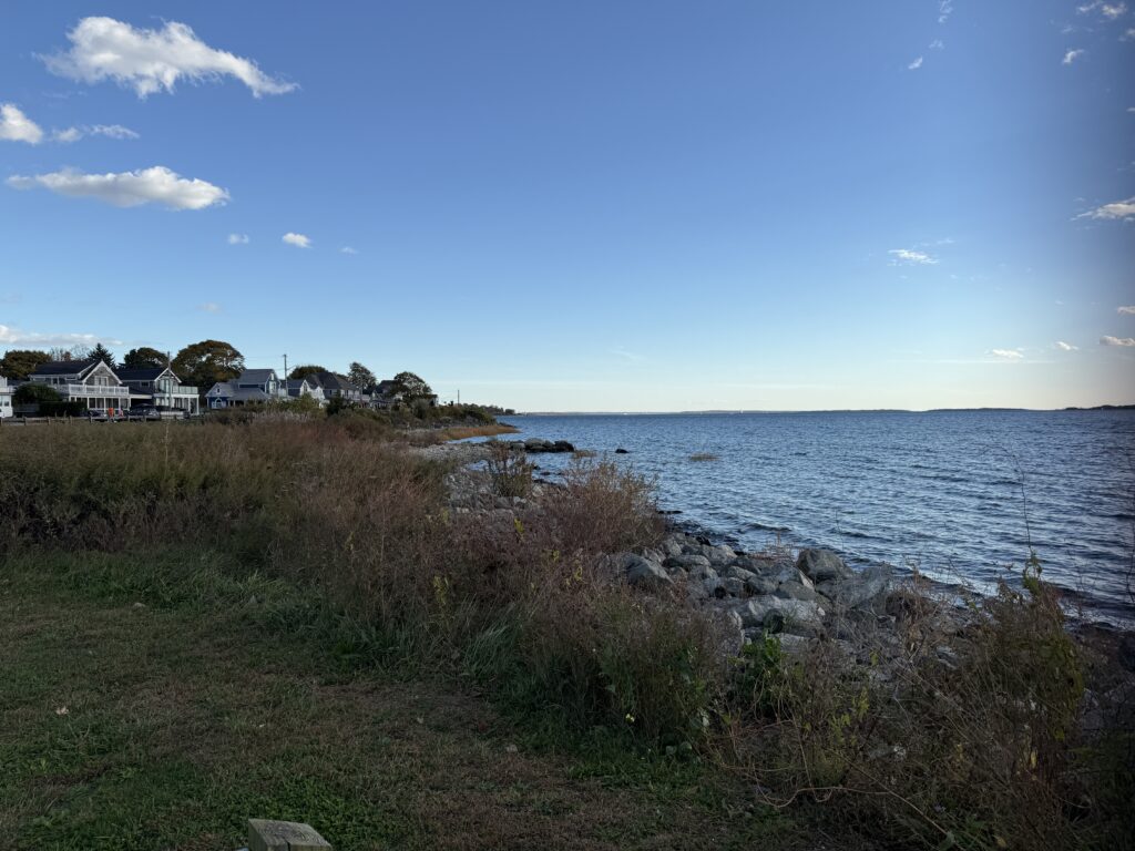 a grassy area next to a body of water (MyCoast AI)