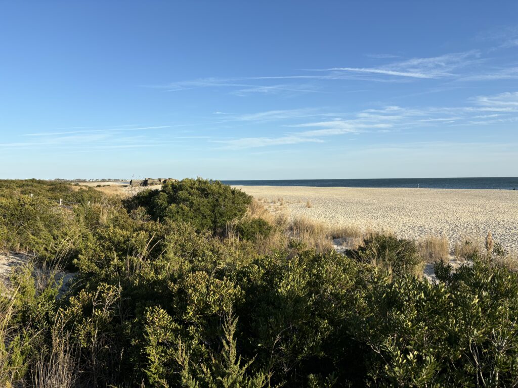 a field of green plants (MyCoast AI)