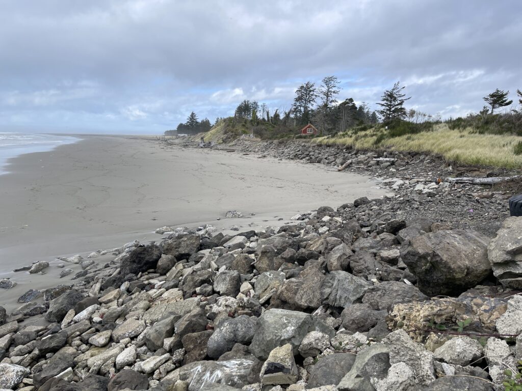 a rocky beach with trees and a hill in the background (MyCoast AI)