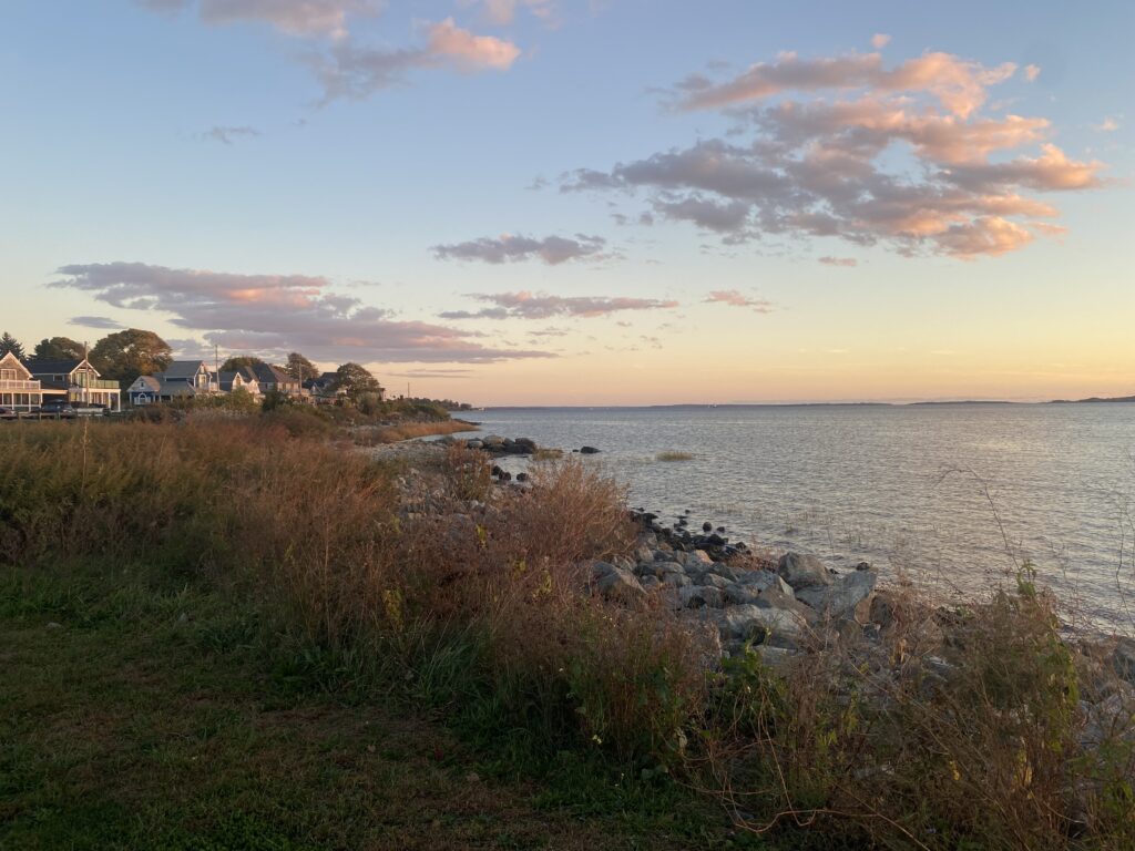a body of water with houses along it (MyCoast AI)