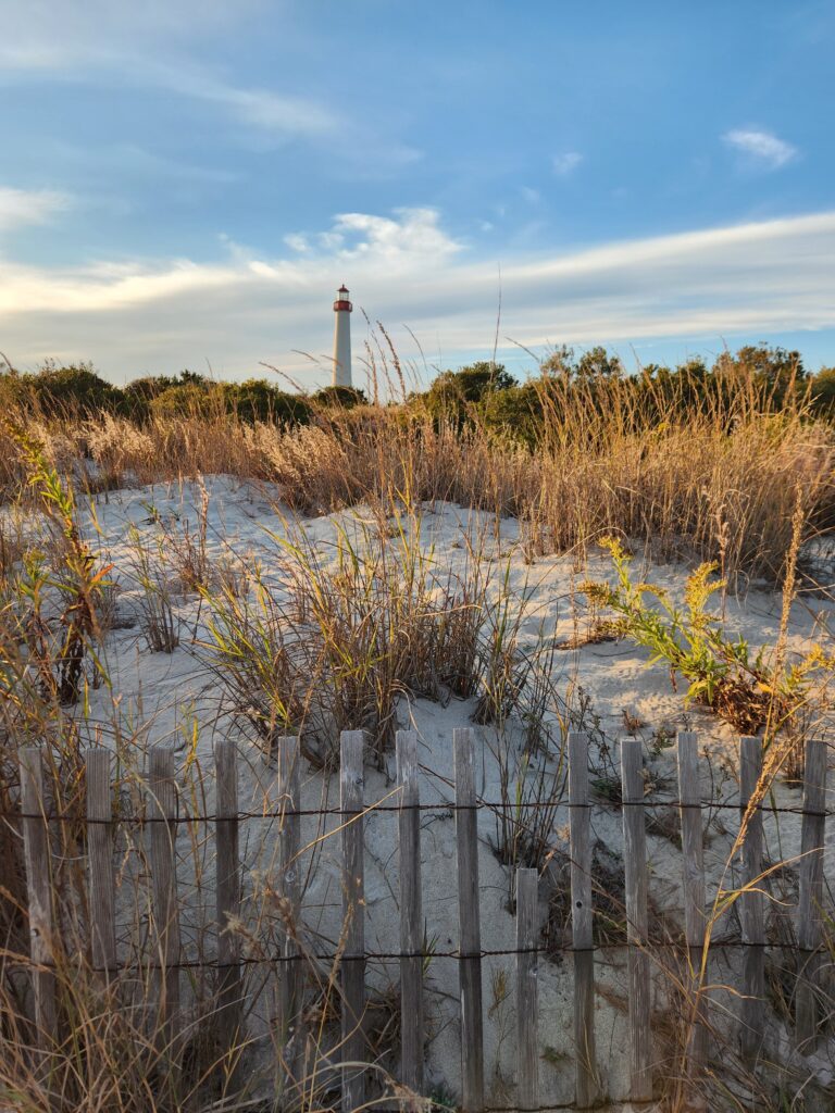 a fence in a marsh (MyCoast AI)