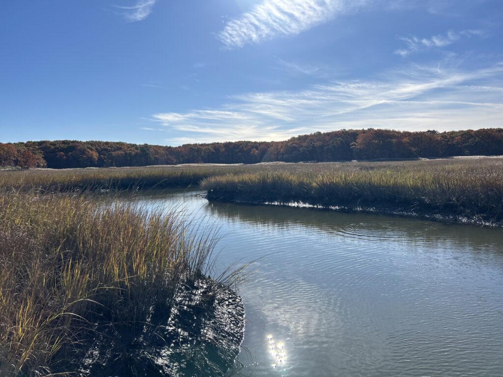 a body of water with grass and trees around it (MyCoast AI)