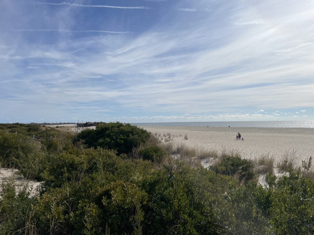 a group of people walking on a beach (MyCoast AI)