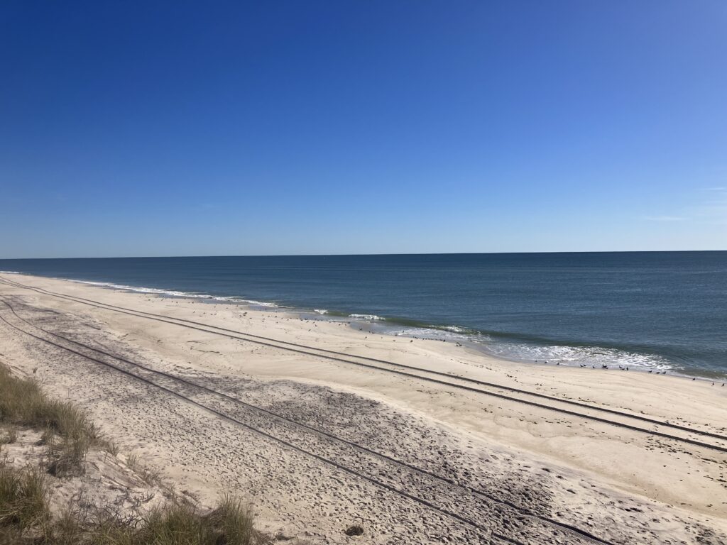 a sandy beach with waves crashing on it (MyCoast AI)