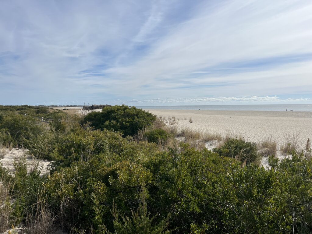 a beach with trees and bushes (MyCoast AI)