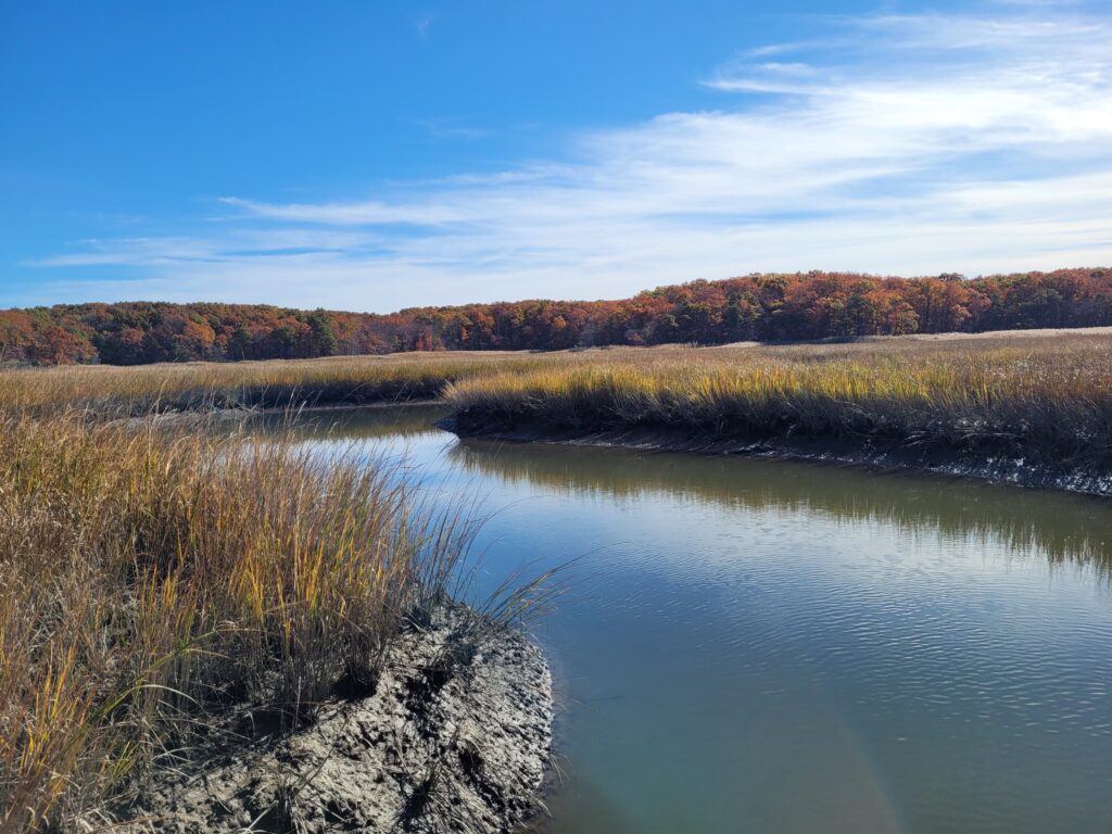 a body of water with grass and trees around it (MyCoast AI)