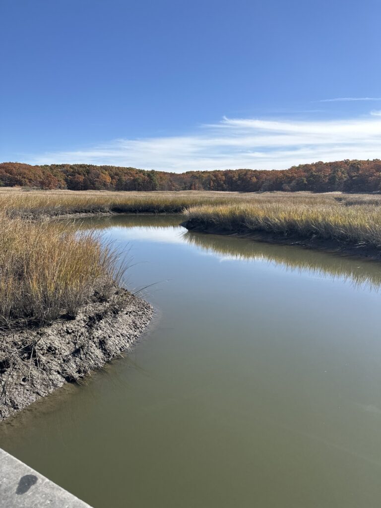 a body of water with grass and trees around it (MyCoast AI)