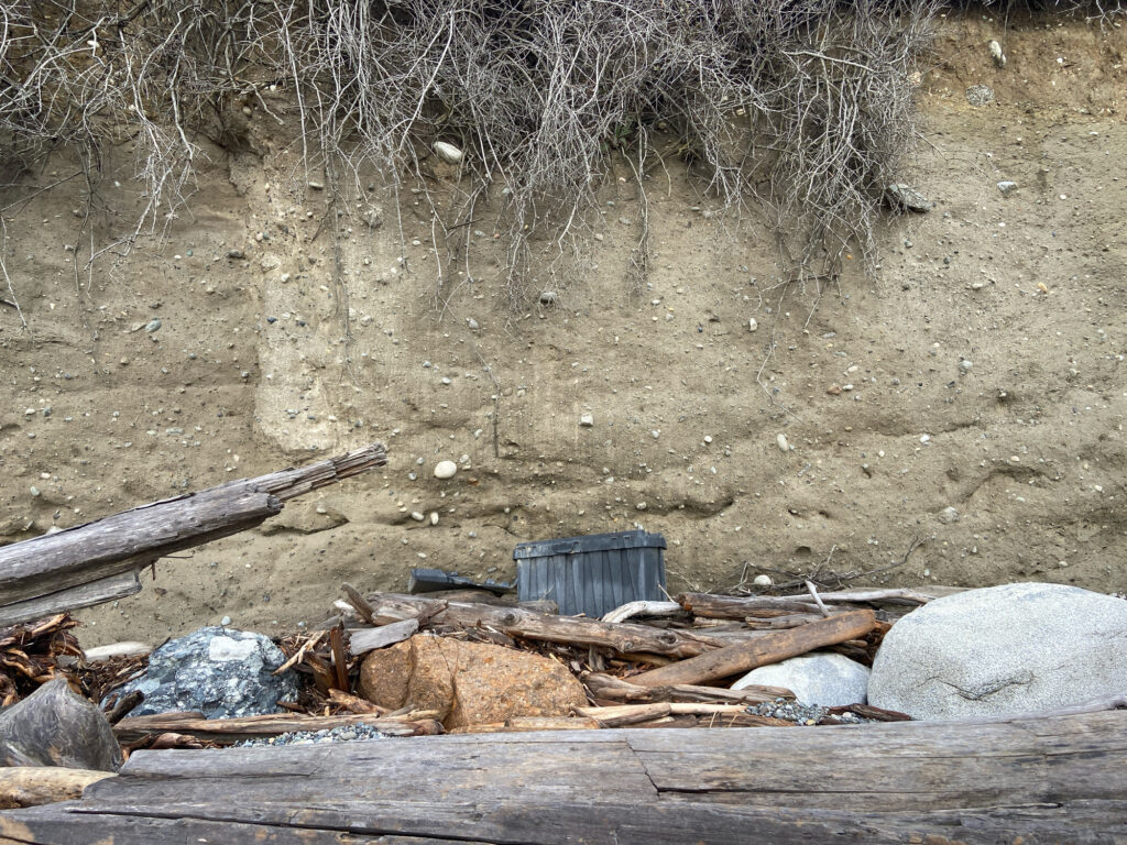 a pile of wood and debris (MyCoast AI)