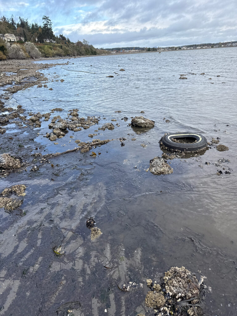 tire on a beach (MyCoast AI)