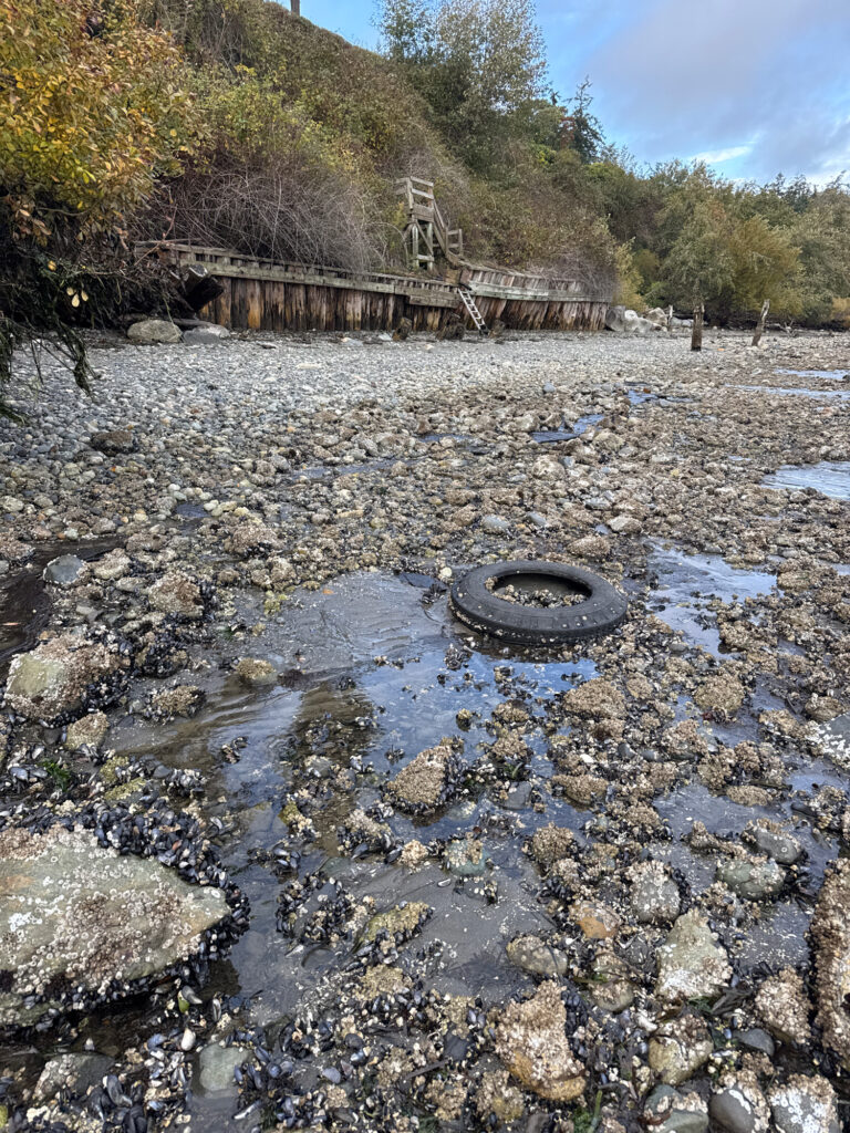 a tire on a rocky river bed (MyCoast AI)