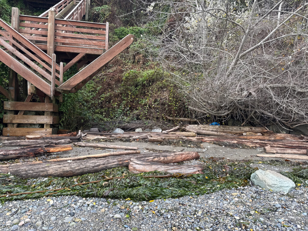 a pile of wood next to a wooden bridge (MyCoast AI)