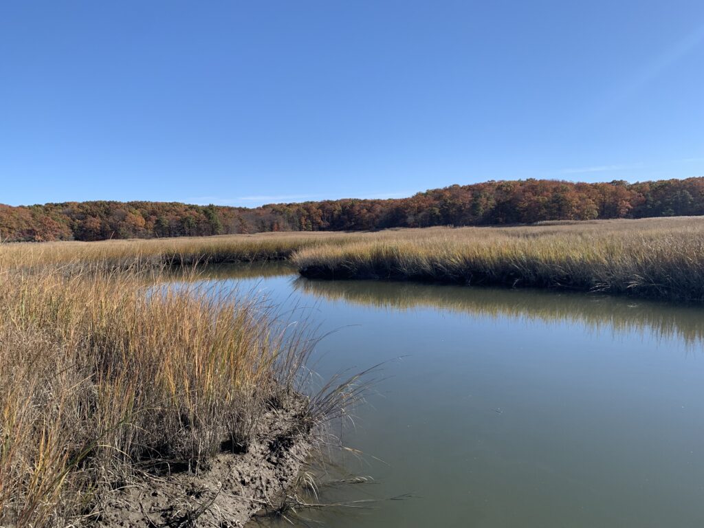 a body of water with grass and trees around it (MyCoast AI)