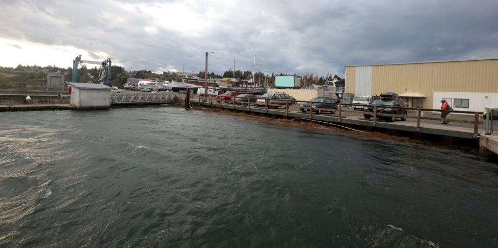 a body of water with a dock and cars parked on it (MyCoast AI)