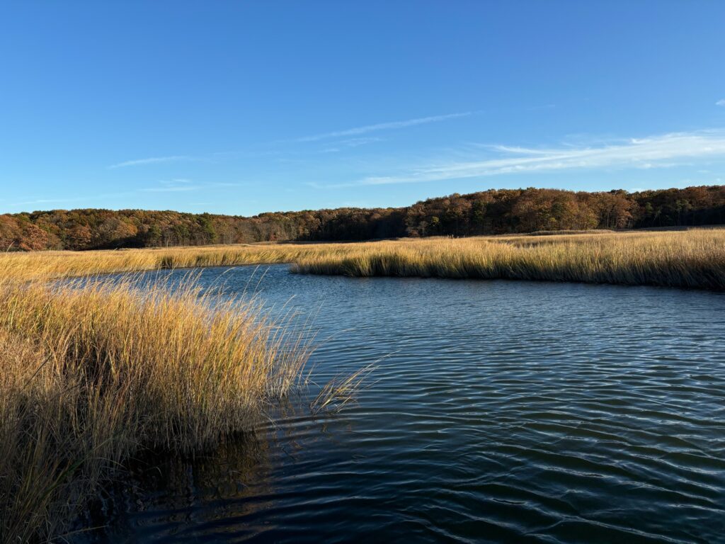 a body of water with grass and trees around it (MyCoast AI)