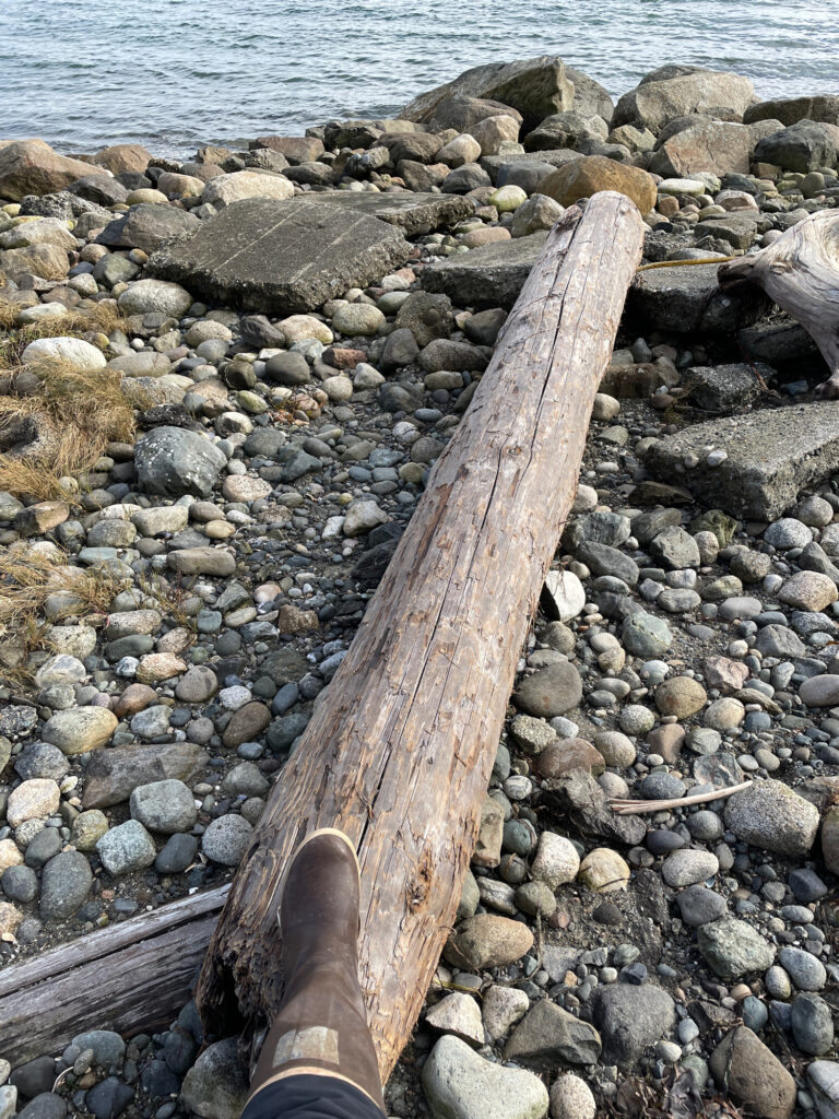 a wooden object on a rocky beach (MyCoast AI)