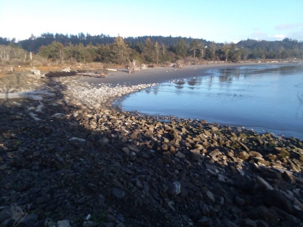 a rocky beach with a body of water in the background (MyCoast AI)