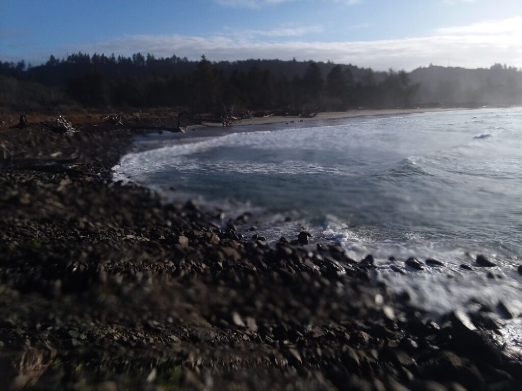 a rocky beach with trees in the background (MyCoast AI)