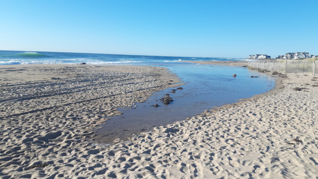 a sandy beach with a fence and water in the background (MyCoast AI)