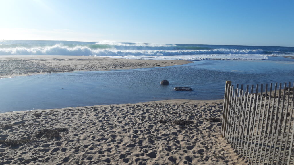 a sandy beach with waves crashing (MyCoast AI)