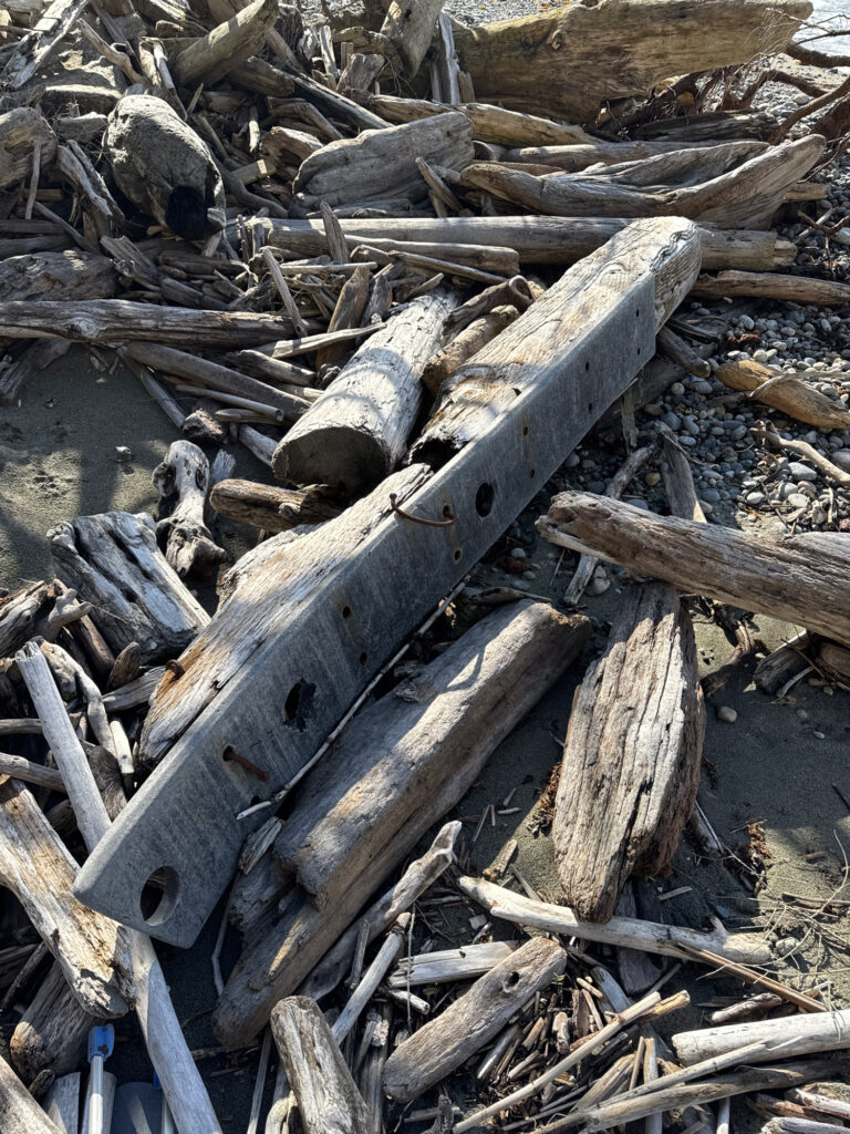 a pile of wood (MyCoast AI)