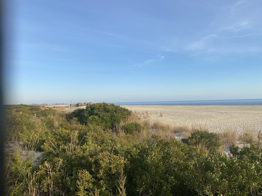 a landscape with bushes and trees (MyCoast AI)