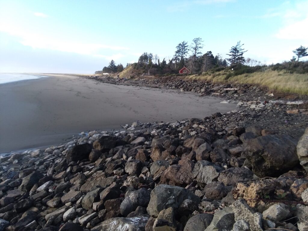 a rocky beach with trees and grass (MyCoast AI)