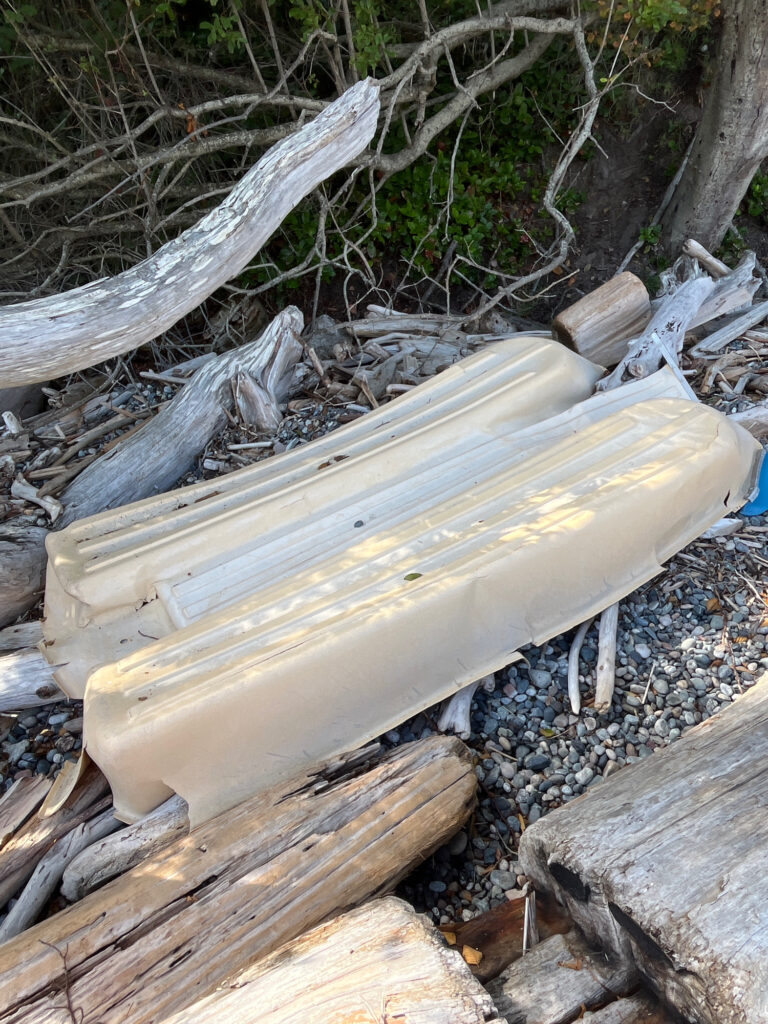 a pile of wood (MyCoast AI)